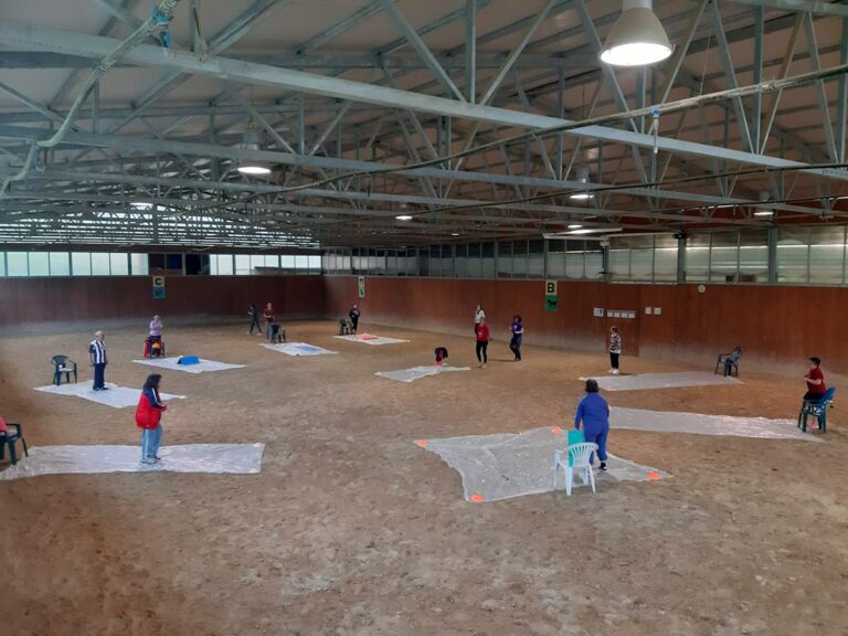 Foto: Lezione di ginnastica al maneggio